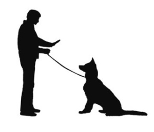 dog training and obedience_r